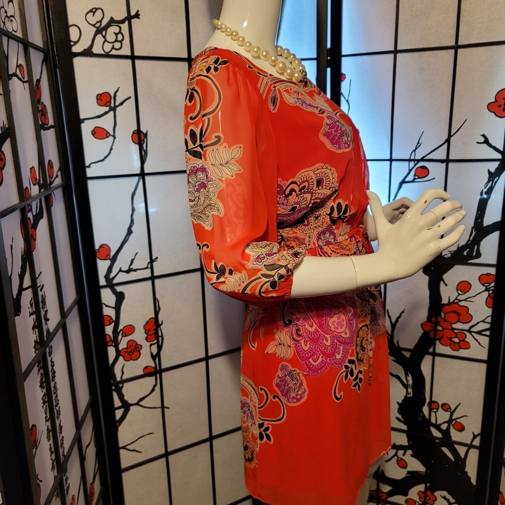 ENFOCUS STUDIO LADIES SHEER BLOUSON PAISLEY DRESS/ORANGE PAISLEY ART/SIZE 6P - Picture 10 of 12